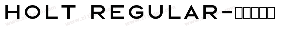 HOLT Regular字体转换